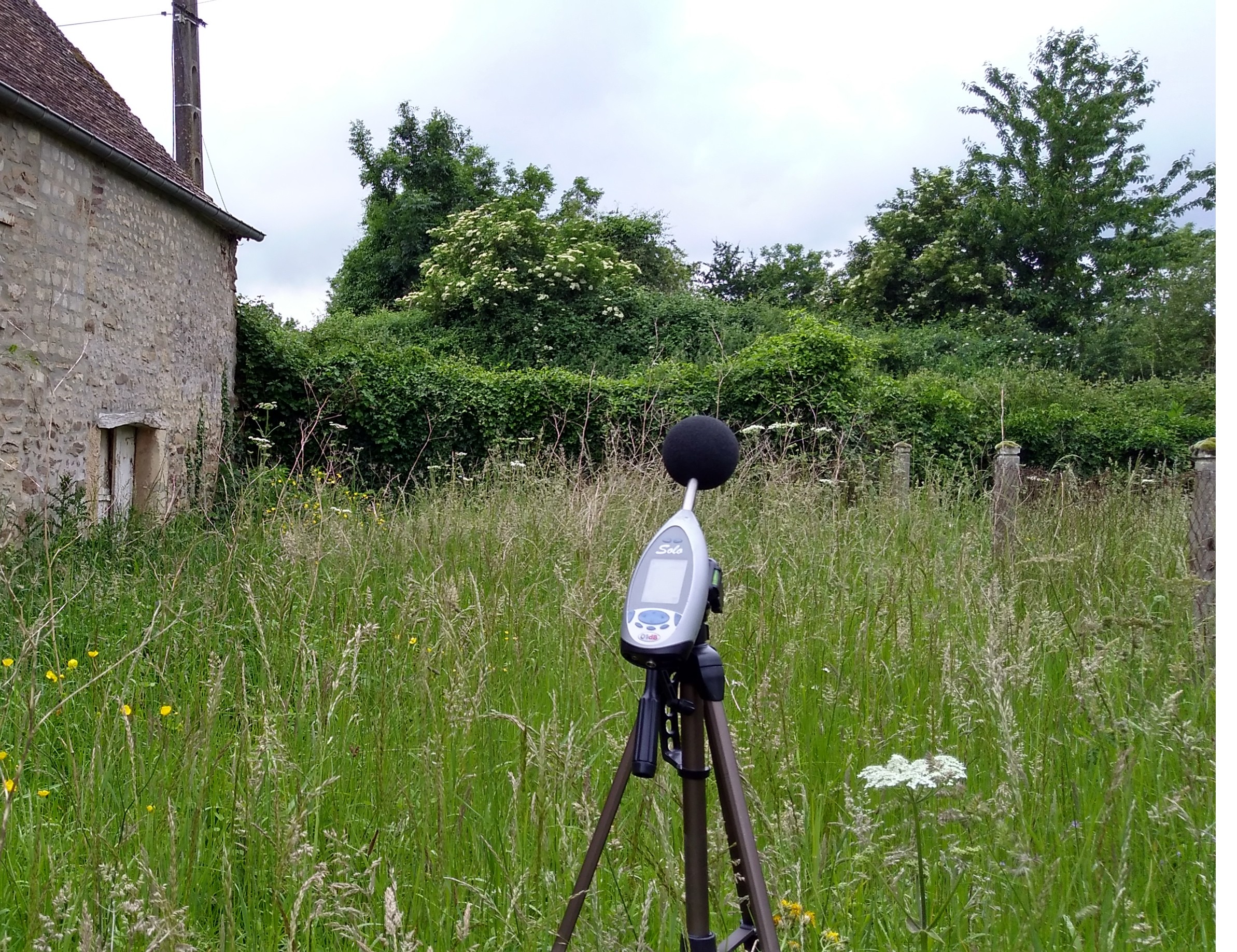 Expertise technique acoustique